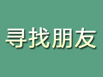 陆川寻找朋友