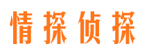 陆川外遇调查取证